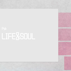 拔萝卜高潮动漫观看完整版大结局
