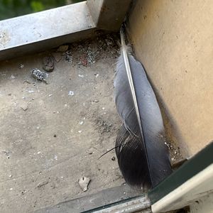 拔萝卜高潮动漫观看完整版大结局
