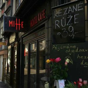 拔萝卜高潮动漫观看完整版大结局
