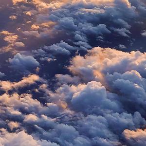 拔萝卜高潮动漫观看完整版大结局
