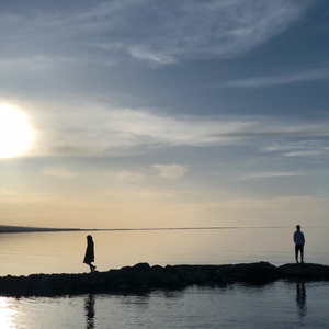 拔萝卜高潮动漫观看完整版大结局
